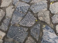 -西安市纺织公园