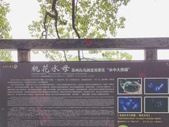 -白马涧龙池景区