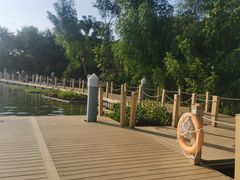-华侨城湿地公园