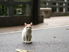 -广州市白云山风景名胜区