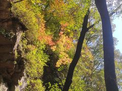 -五女峰国家森林公园