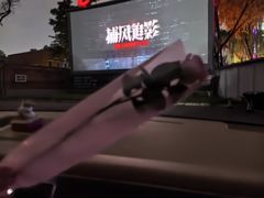 -枫花园汽车电影院(朝阳公园店)