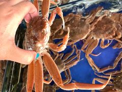 -江杨农产品批发市场