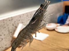 -邹开喜·炭炉鸡煲·海鲜火锅(虹口足球场店)
