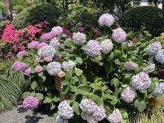 -常州古运河南大街文化旅游区-人民公园