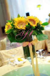 -上海浦东喜来登由由大酒店·宴会厅