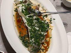 -船歌·鱼水饺青岛菜(黄岛珠江路店)