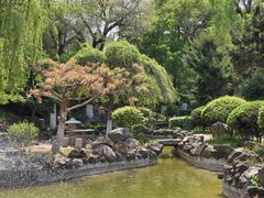 -伪满皇宫博物院