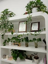 点击看大图 -悟空祛痘·亚健康皮肤管理中心