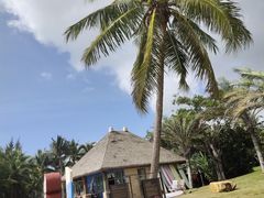 -清水湾旅游度假区