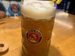 -天津普拉那啤酒坊(意风区店)