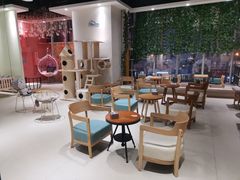 -藏猫猫咖啡主题馆(中央大道店)