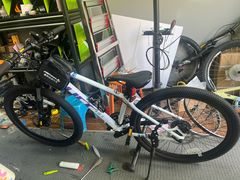 -道路口单车爱瓦士dahon大行