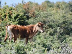 -黑龙江扎龙生态旅游区