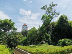 -厦门大学(思明校区)