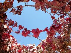 景点-敦煌莫高窟