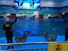 -多彩贵州城极地海洋世界