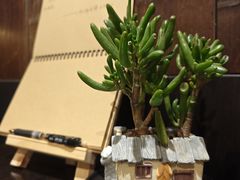 -庐灶江南·江南菜·四合院Bistro(东直门雍和宫·原华侨宾馆店)