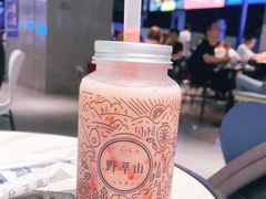-野萃山·潮汕厚果汁(十亩地店)