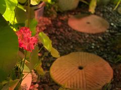 -义乌之心城市生活广场(新马路店)