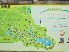 -田野绿世界