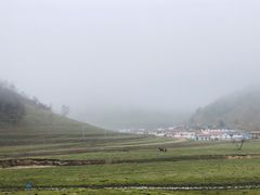 -关山草原