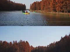 -上海海湾国家森林公园