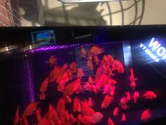 -M-SHOW 米秀主题KTV(左岸印巷店)