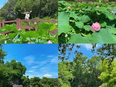 -广州莲花山旅游区