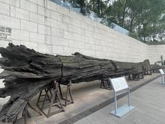 -金沙遗址博物馆