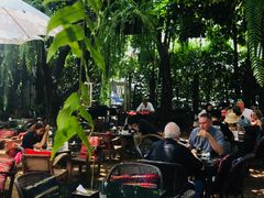 -Fern Forest Cafe