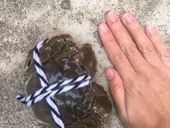 -乡乐园蟹庄·阳澄湖农家乐