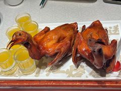 -大鸽饭(动物园店)