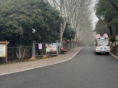 -合肥野生动物园