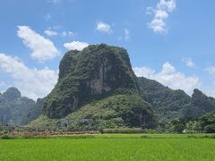 -明仕田园