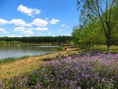 -东郊湿地公园