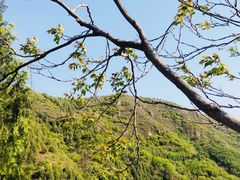 -北京十三陵国家森林公园蟒山景区