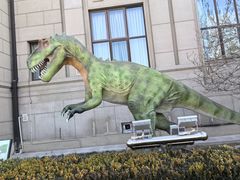 -国家自然博物馆