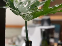 -fishtank鱼缸咖啡(三山街店)
