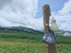 -新疆那拉提国家旅游度假区