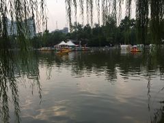 -莲湖公园
