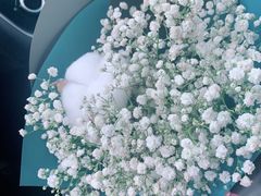 -循礼门鲜花花市(武汉循礼门店)