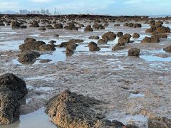 -厦金湾赶海场