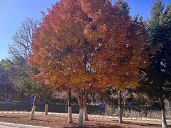 -长春世界雕塑园冰雪艺术天地