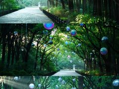 -上海共青森林公园