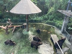 -深圳野生动物园