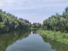 -东郊湿地公园