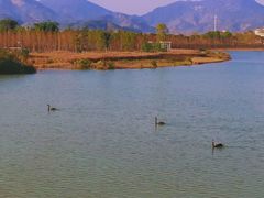 -琅岐红光湖公园