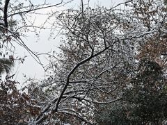 -敬亭山风景名胜区