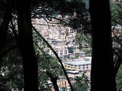 -火炉山森林公园